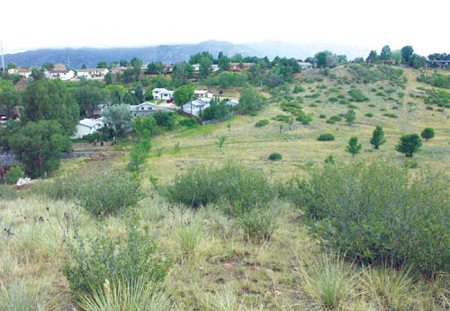In a view west from a knoll near the boundary of the Alta
Mira subdivision (out of view at left) and the Mesa Wildlife
Preserve, the gated entrance from Oswego Street can be
seen in middle left. 
Westside Pioneer photo