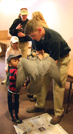 Ryan Kerns of the Air Force Academy lets young Kevin Rowe pet Destiny, a gyrfalcon, during a presentation at the 
Garden of the Gods Visitor & Nature Center.
Westside Pioneer photo