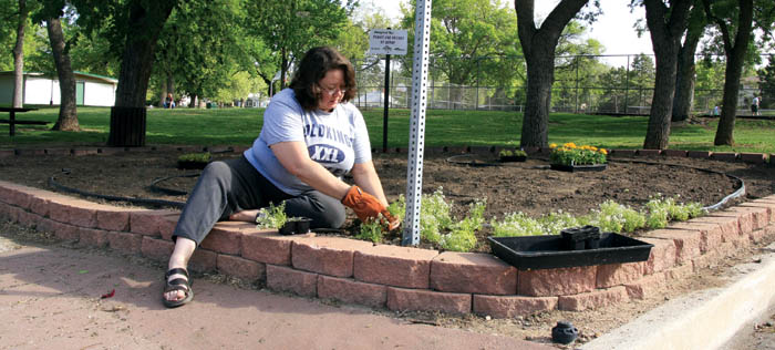 Karen Sucharski starts planting about 900 flowers in the
Family and Friends of Genny garden at Thorndale Park the morning of May 31.
Westside Pioneer photo