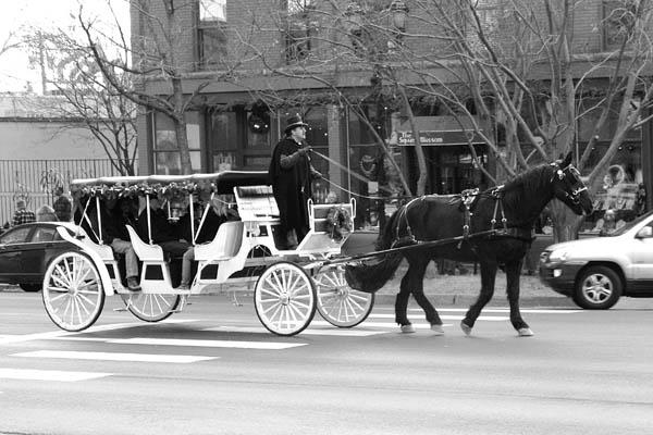 Mike Solano turns left from Colorado Avenue to 26th Street with his carriage horse Sammy last Christmas.
Westside Pioneer file photo