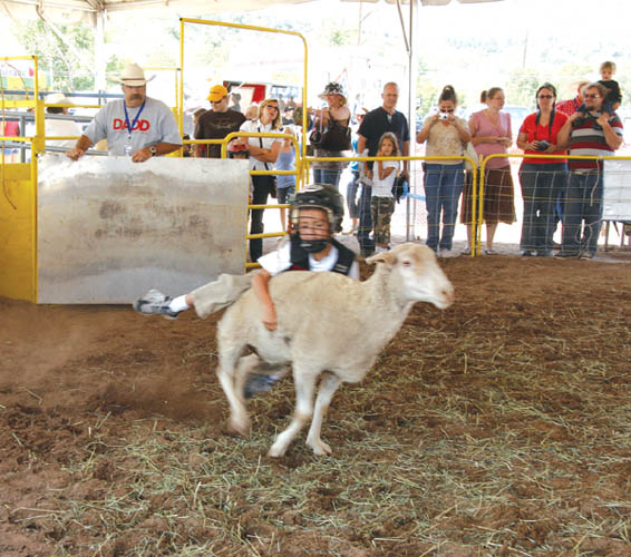 Outside the stadium, a young rider tries to stay on board a sheep in the Mutton Bustin activity for children. 
Onlookers include parents who were paying $10 a ride (which sometimes lasted less than a second).
Westside Pioneer photo