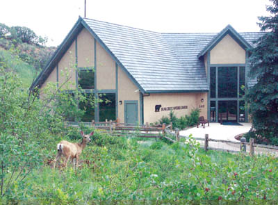 This wildlife visitor may be wondering why the nearby 
building isnt named the Deer Creek Nature Center. The 
county-owned facility offers regular outdoors programs and hikes for children and adults.
