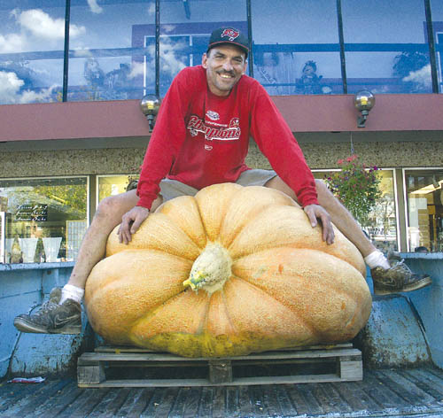 Mark Sawtelle gets a ride from his 774-pound winning pumpkin.
Westside Pioneer photo