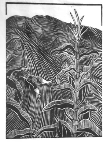 A print by M. ReeAnn Hyde, as displayed in the Old
Colorado City Librarys downstairs in the first of planned
monthly art exhibits. (And whats happening in that cornstalk at the left?)
Westside Pioneer photo